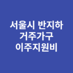 서울시 반지하 거주가구 이주지원비