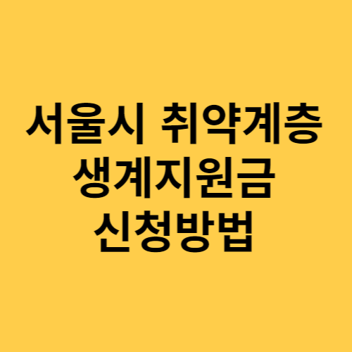 서울시 취약계층 생계지원금