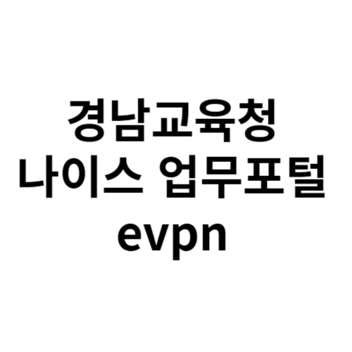 경남교육청 나이스 업무포털 EVPN을 통한 안전한 접속과 활용