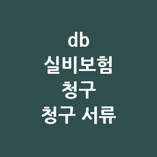 DB 실비보험 청구 서류: 청구서류 및 절차 안내