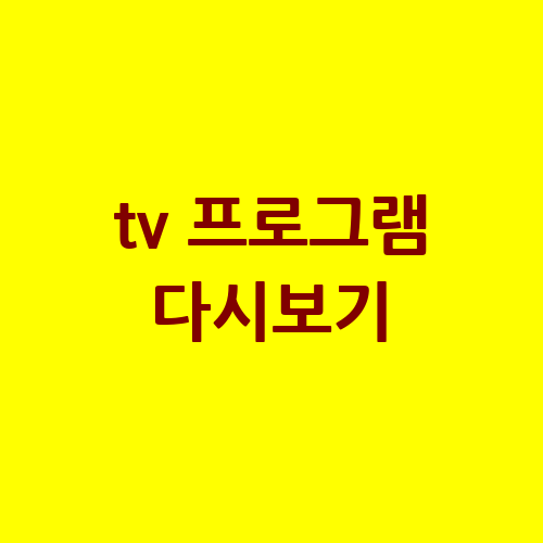 TV 프로그램 다시보기: 시청 방법과 팁