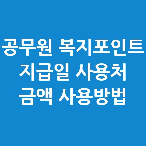 공무원_복지포인트_지급일_사용처_금액_사용방법.jpg