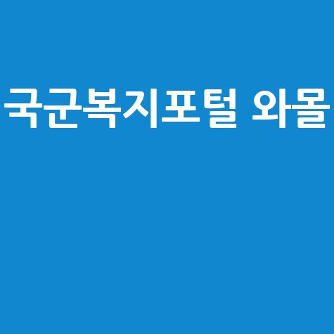국군복지포털_와몰__.jpg