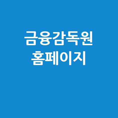 금융감독원_홈페이지_.jpg
