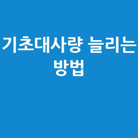 기초대사량_늘리는_방법_.jpg