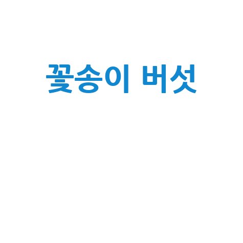 꽃송이_버섯__.jpg