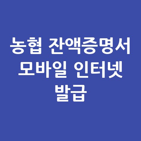 농협_잔액증명서_모바일_인터넷_발급.jpg
