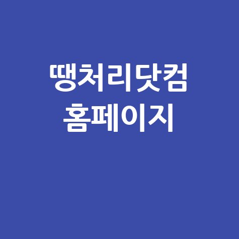땡처리닷컴_홈페이지_.jpg