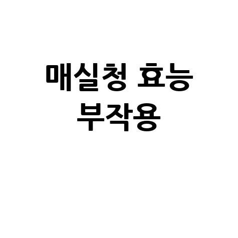 매실청_효능_부작용_.jpg