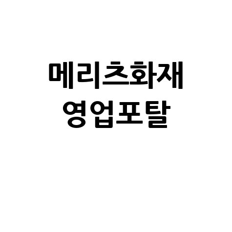 메리츠화재_영업포탈_.jpg
