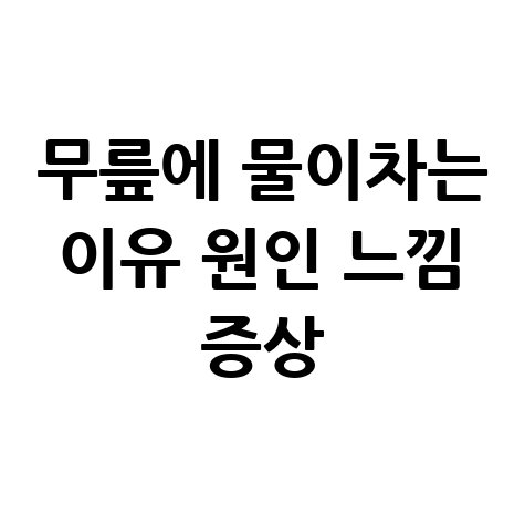 무릎에_물이차는_이유_원인_느낌_증상.jpg