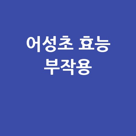 어성초_효능_부작용_.jpg