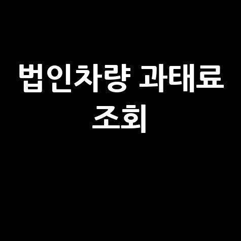 법인차량_과태료_조회_.jpg