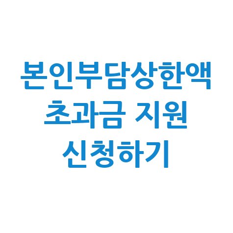 본인부담상한액_초과금_지원_신청하기.jpg