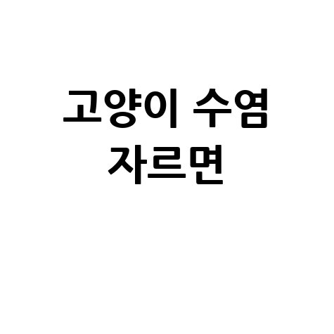 고양이 수염 자르면 안 되는 이유와 수염의 중요성
