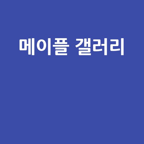 메이플 갤러리 최신 정보와 공략 팁