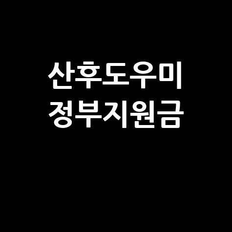 산후도우미 정부지원금 신청방법 혜택 총정리