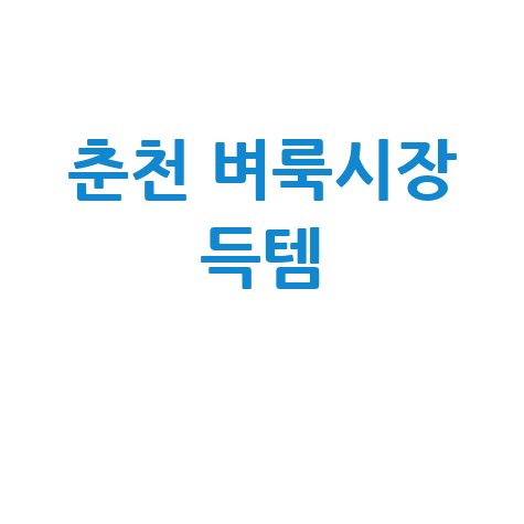 춘천 벼룩시장 주말 나들이 득템 후기